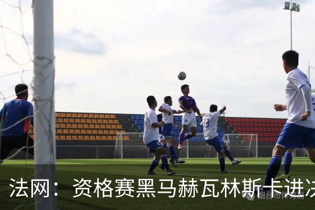 法网：资格赛黑马赫瓦林斯卡进决赛创历史 将与安德烈耶娃争冠